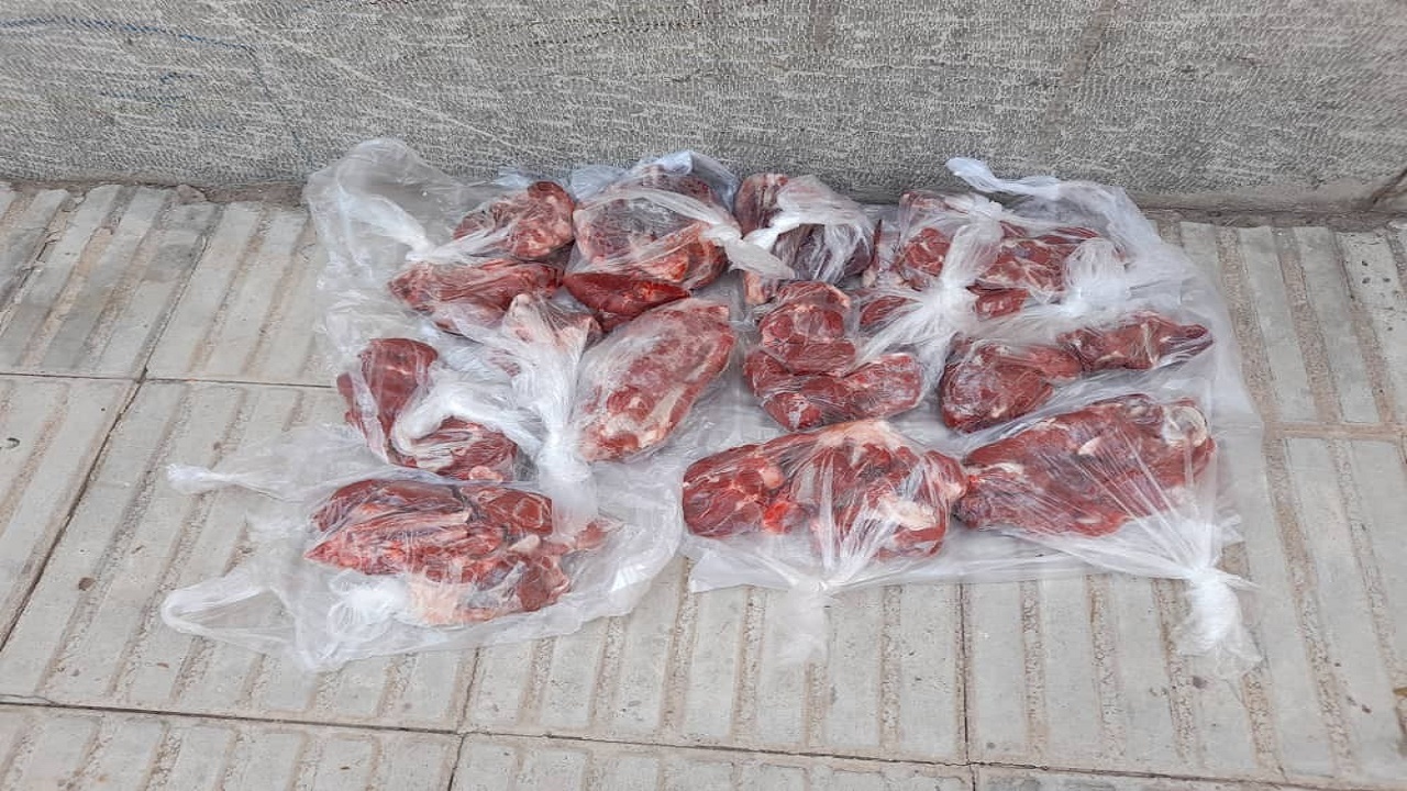 کشف و ضبط آثار شکار یک قوچ وحشی در راین