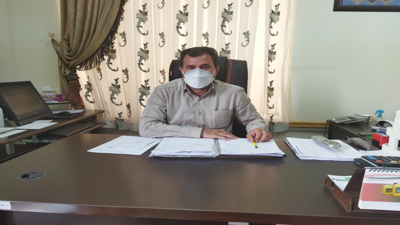 پیش بینی برداشت حدود ۱۰۰۰ تن پسته در راور