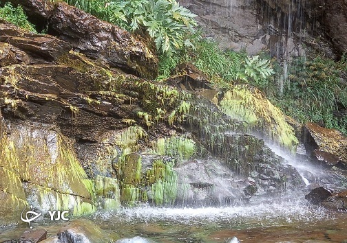 دعوتید به تماشای طبیعت زیبای لانیز