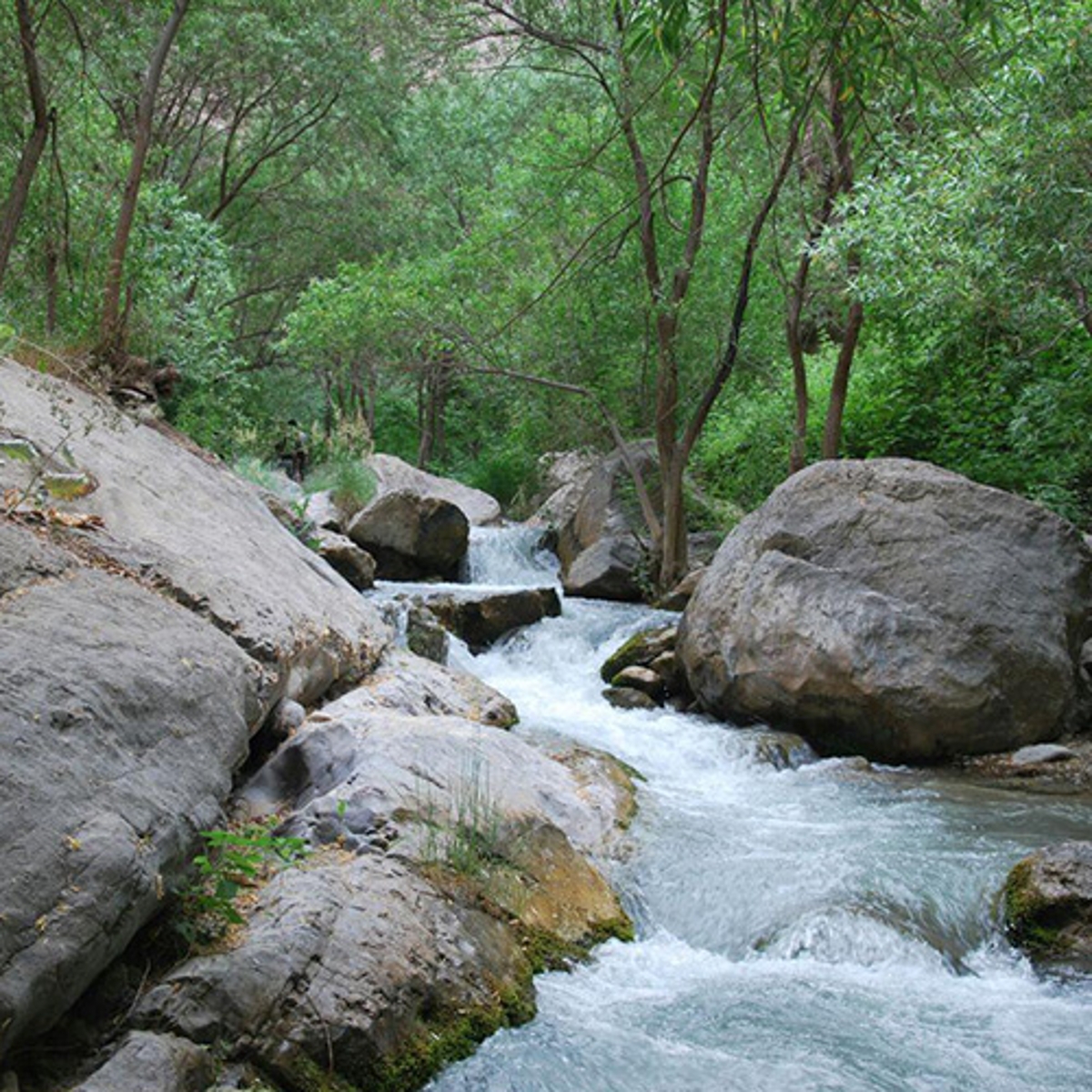 طبیعت بکر