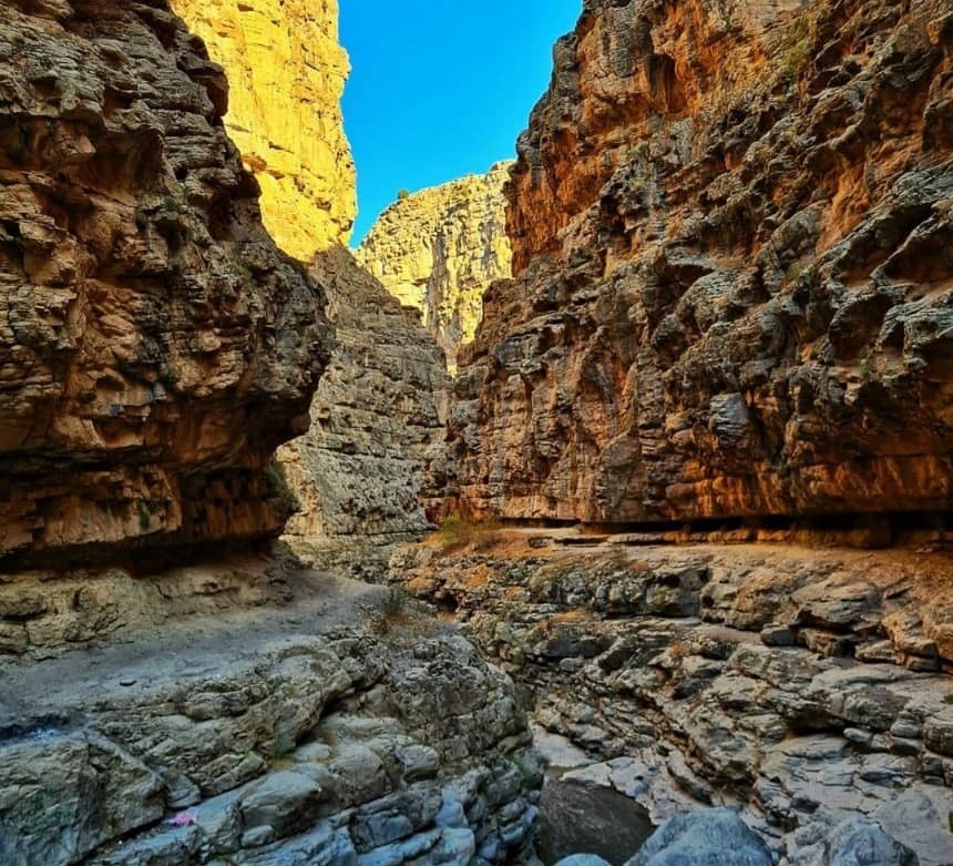 جاذبه طبیعی