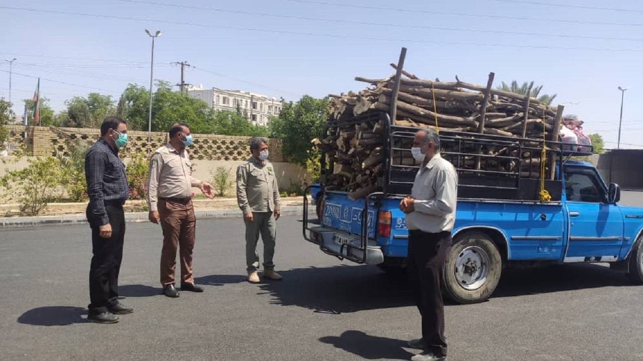توقیف ۳ دستگاه خودرو حامل چوب در جم/ قطع درخت و جابه‌جایی چوب مجوز می‌خواهد