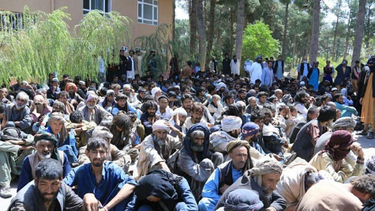 والی هرات دستور تداوی معتادان را صادر کرد