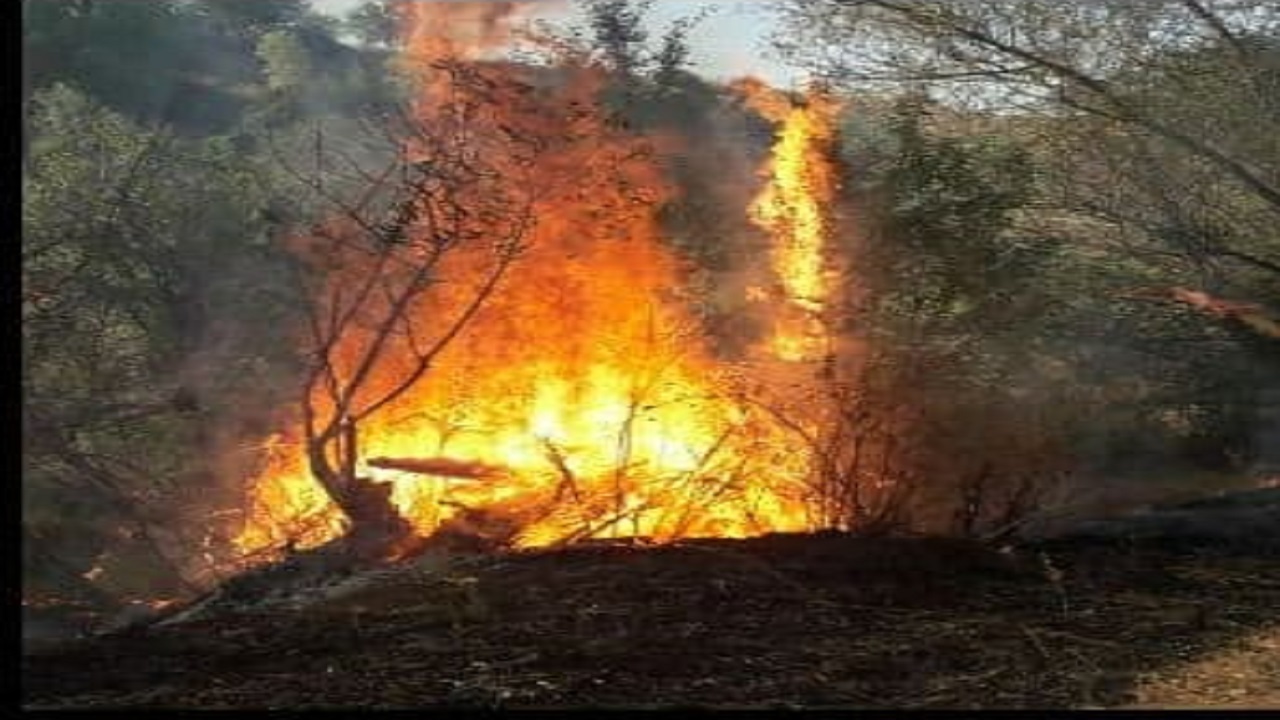 آتش سوزی در مزارع و باغات روستای سزنق