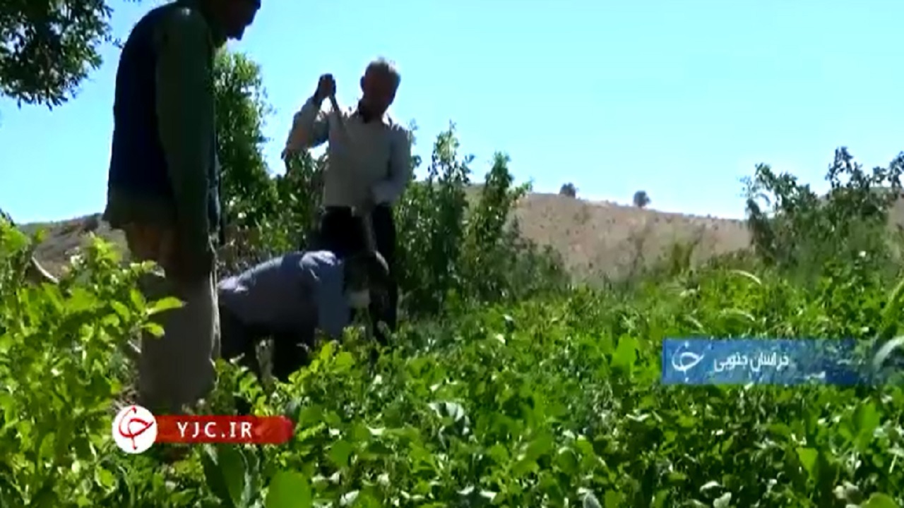 صدای آبادانی در خراسان جنوبی+فیلم