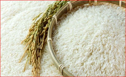 عجیب&zwnj;ترین خوراکی نصف جهان/ زائران اربعین از مرز شلمچه بازگردانده می&zwnj;شوند/ برنج از امروز وارد بورس شد
