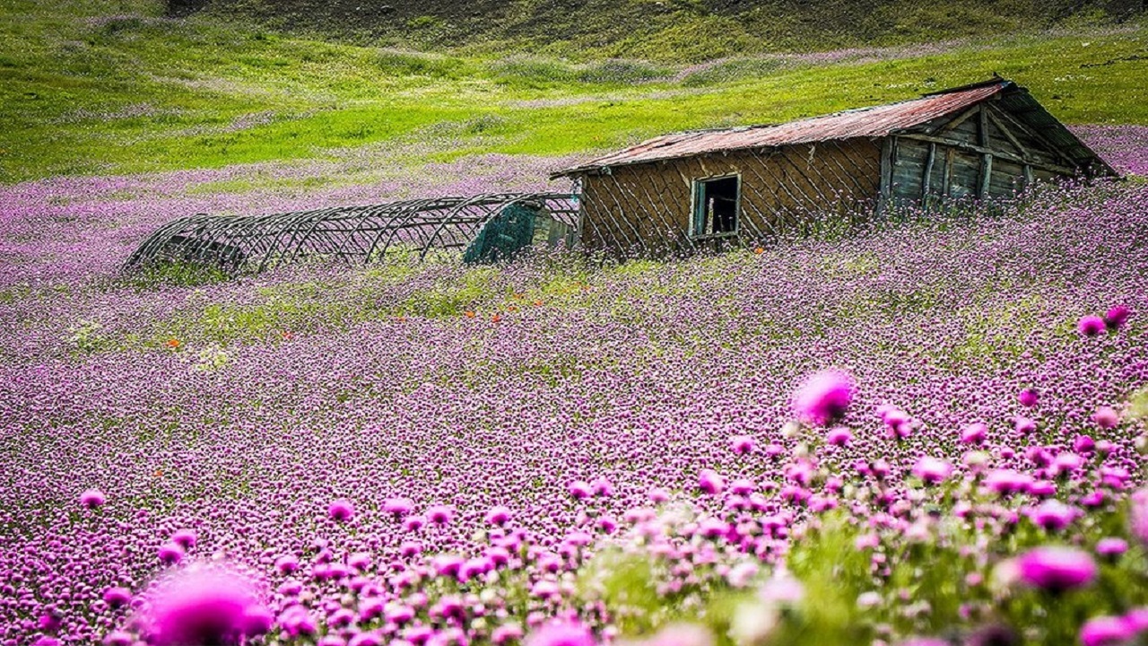 تصاویری  از بکر ترین لوکیشن‌های ایران + فیلم