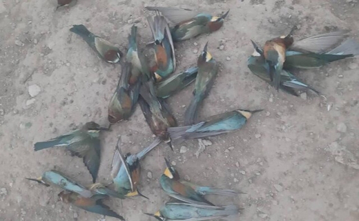 جذابترین