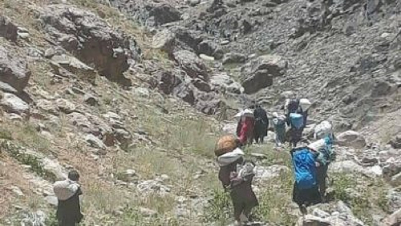 کوچ اجباری شهروندان دایکندی توسط افراد وابسته به طالبان