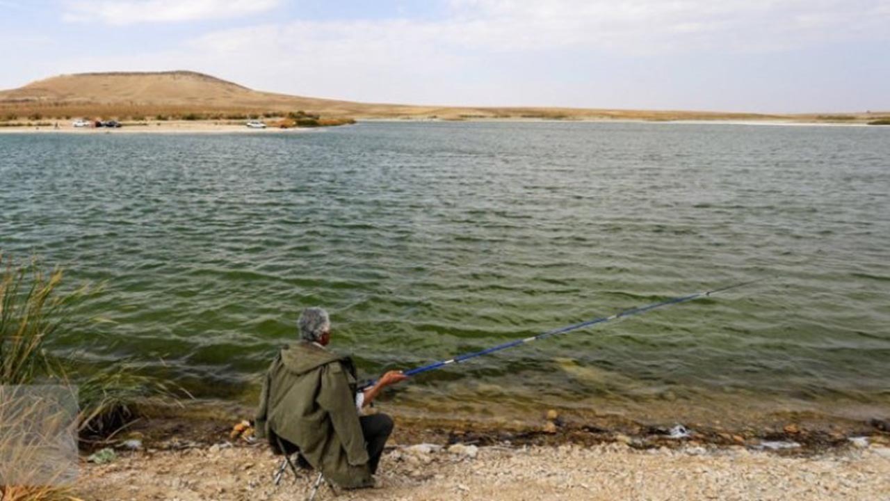 شکار در تالاب «شیرین‌سو» کبودراهنگ ممنوع شد