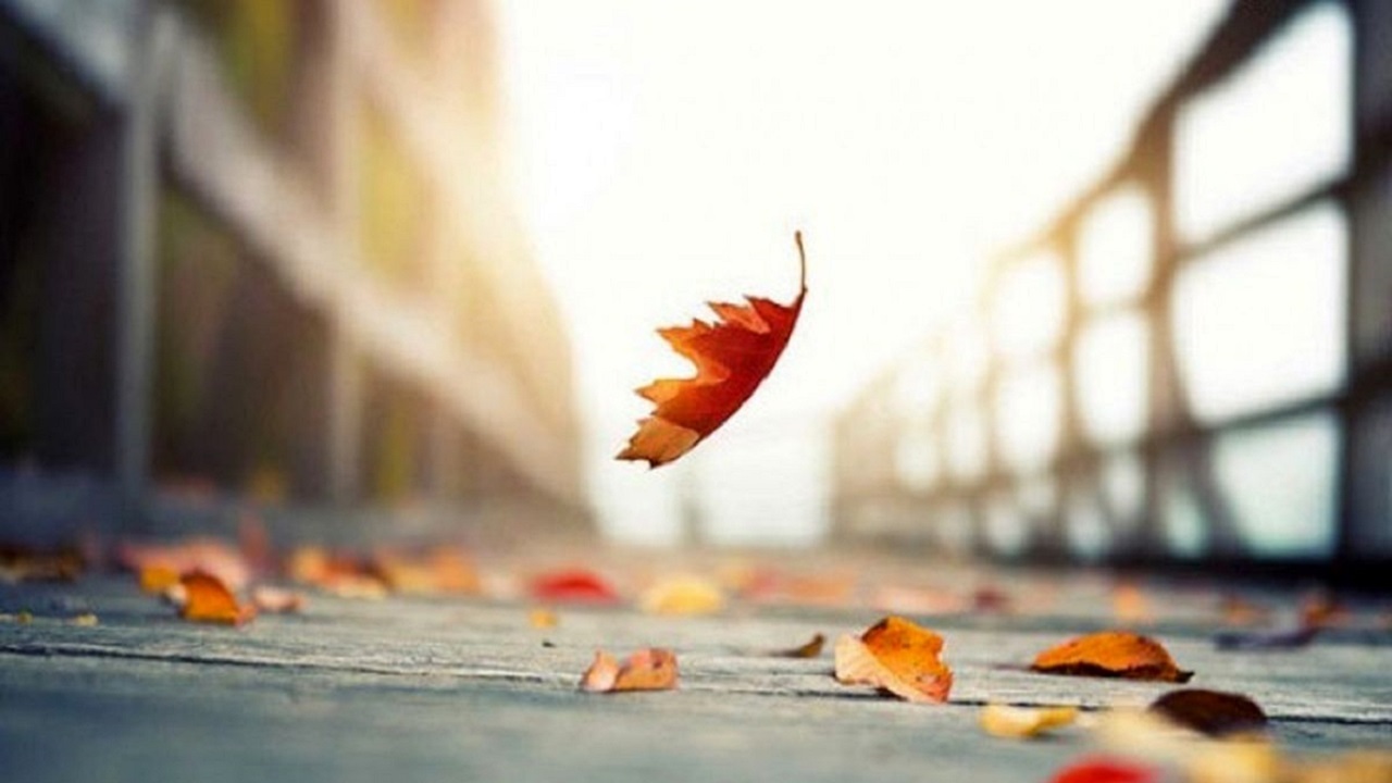 پاییز گرم و کم بارش در پیش است