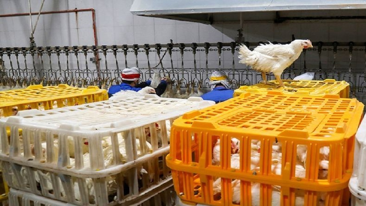 خزانی که باز هم در نصف جهان زود از راه رسید/ مرگ در ۳۰ کیلومتری مقصد