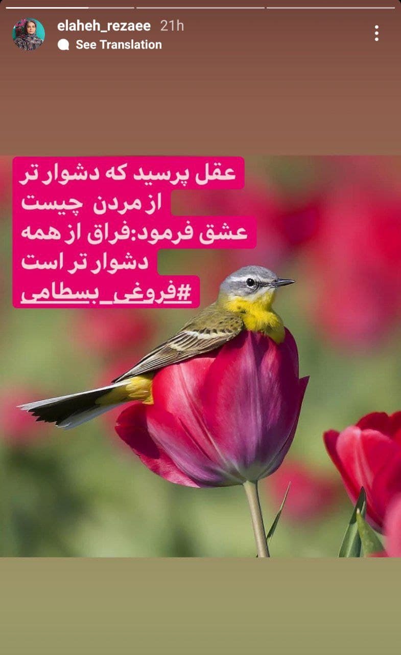 استوری جدید الهه رضایی استوری جدید الهه رضایی