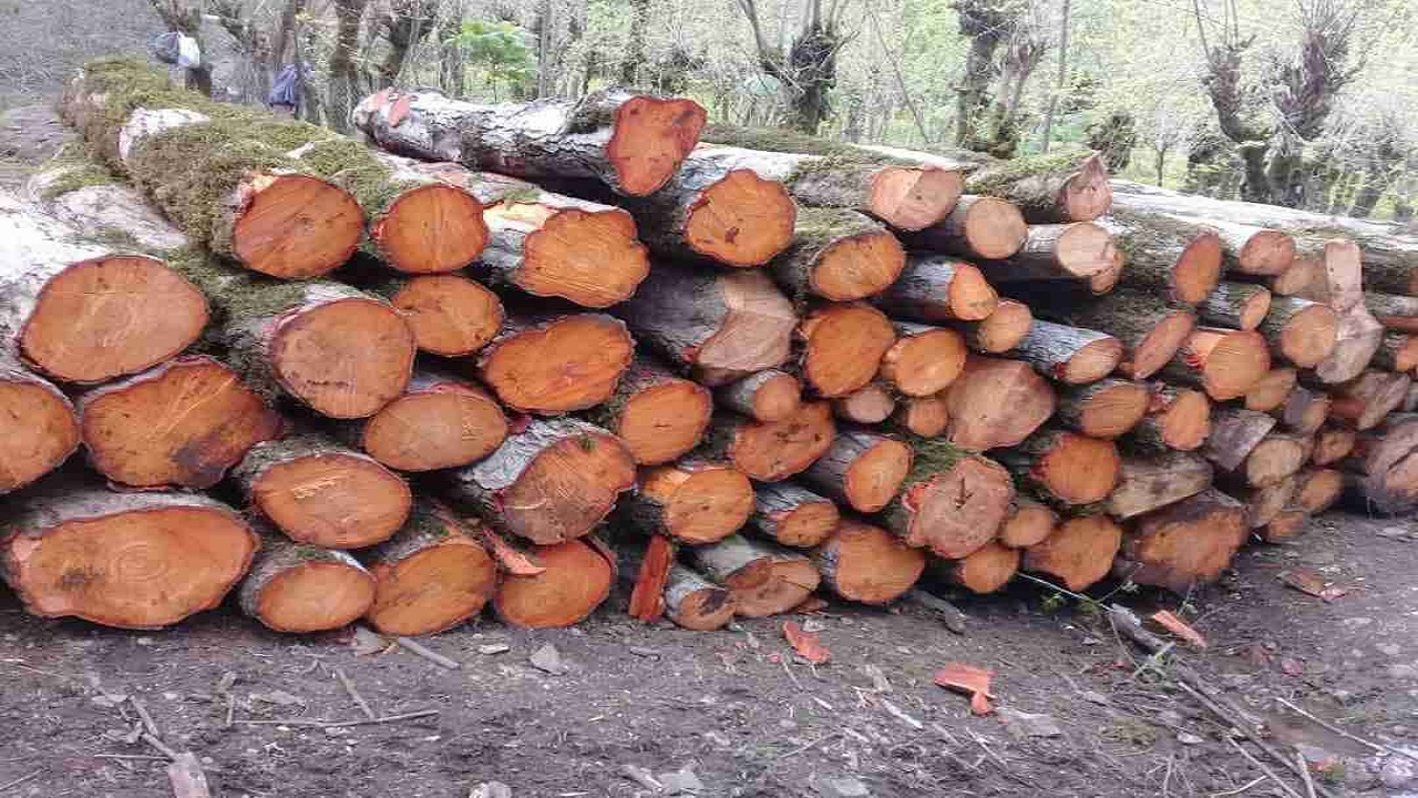 کشف چوب قاچاق در شهرستان رشت