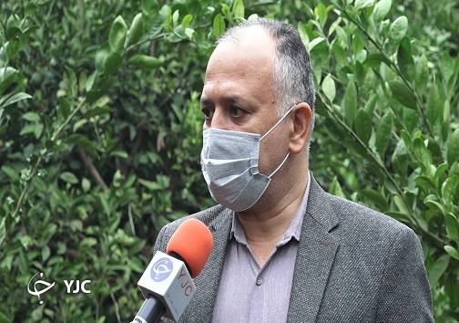 مرکبات مازندران مرکبات مازندران