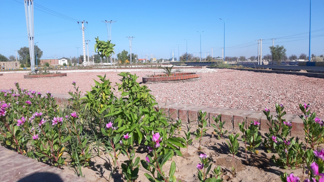 تهیه گل و گیاه فضاهای سبز ریگان به همت جوانان