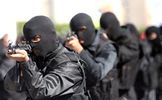 ضربه سپاه به باند بزرگ قاچاق انسان