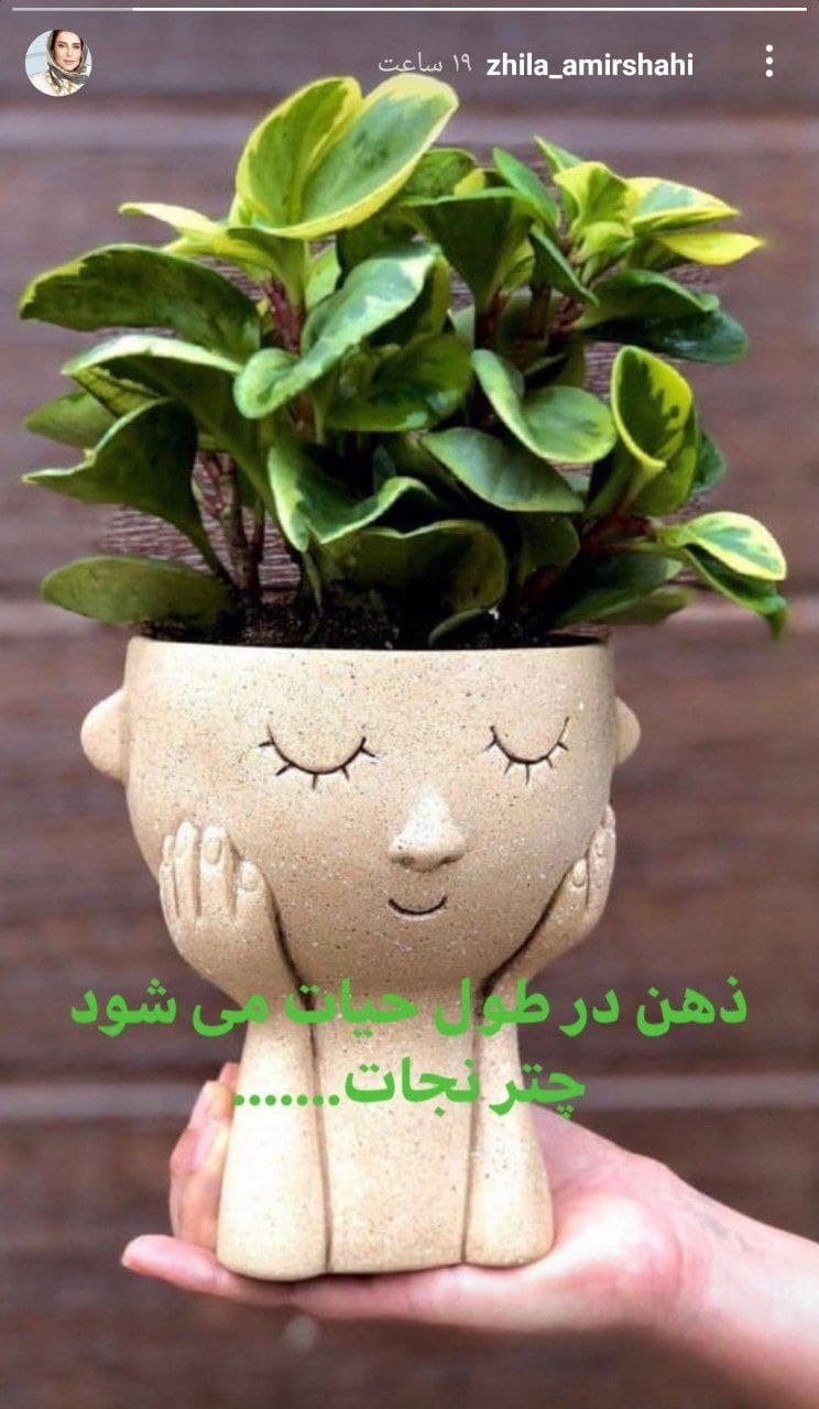 استوری مجری تلویزیون