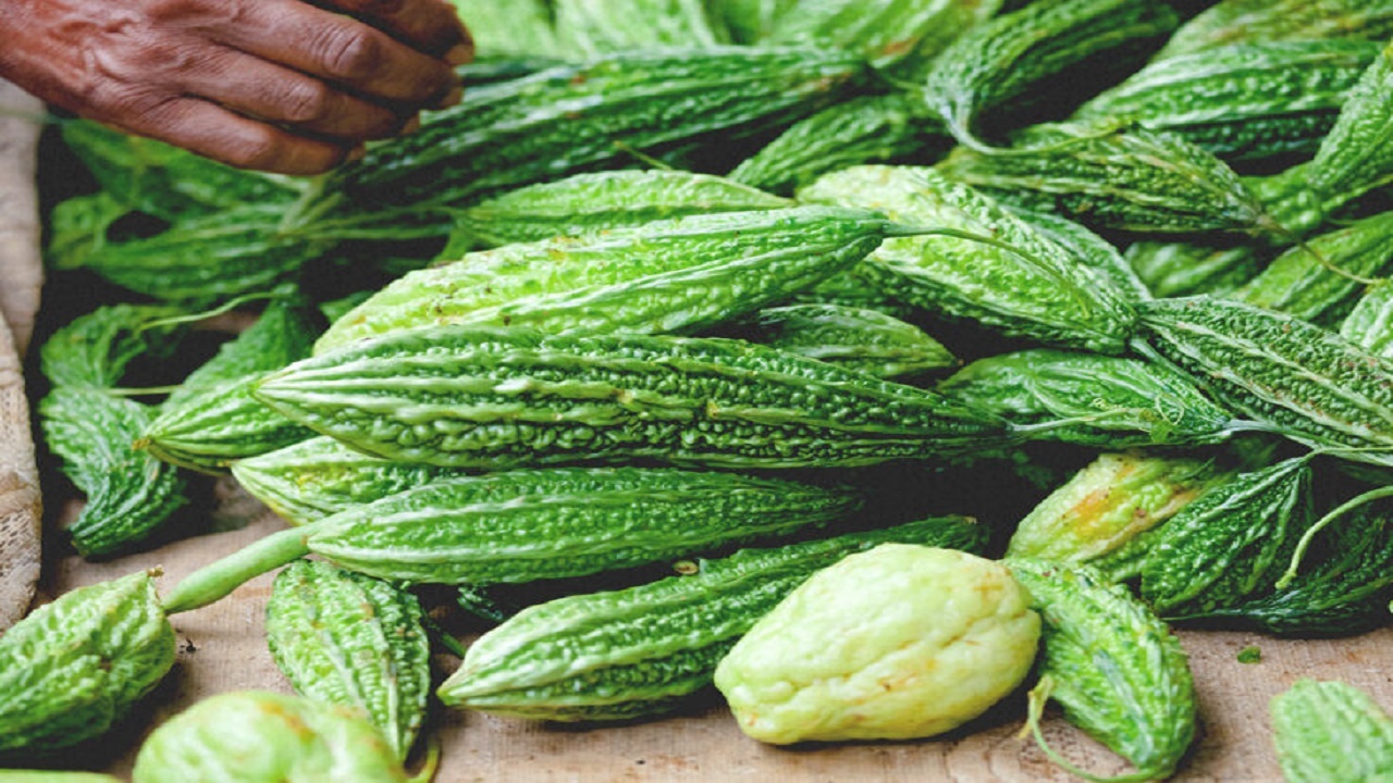 خربزه تلخ و مزایای آن برای دیابتی‌ها
