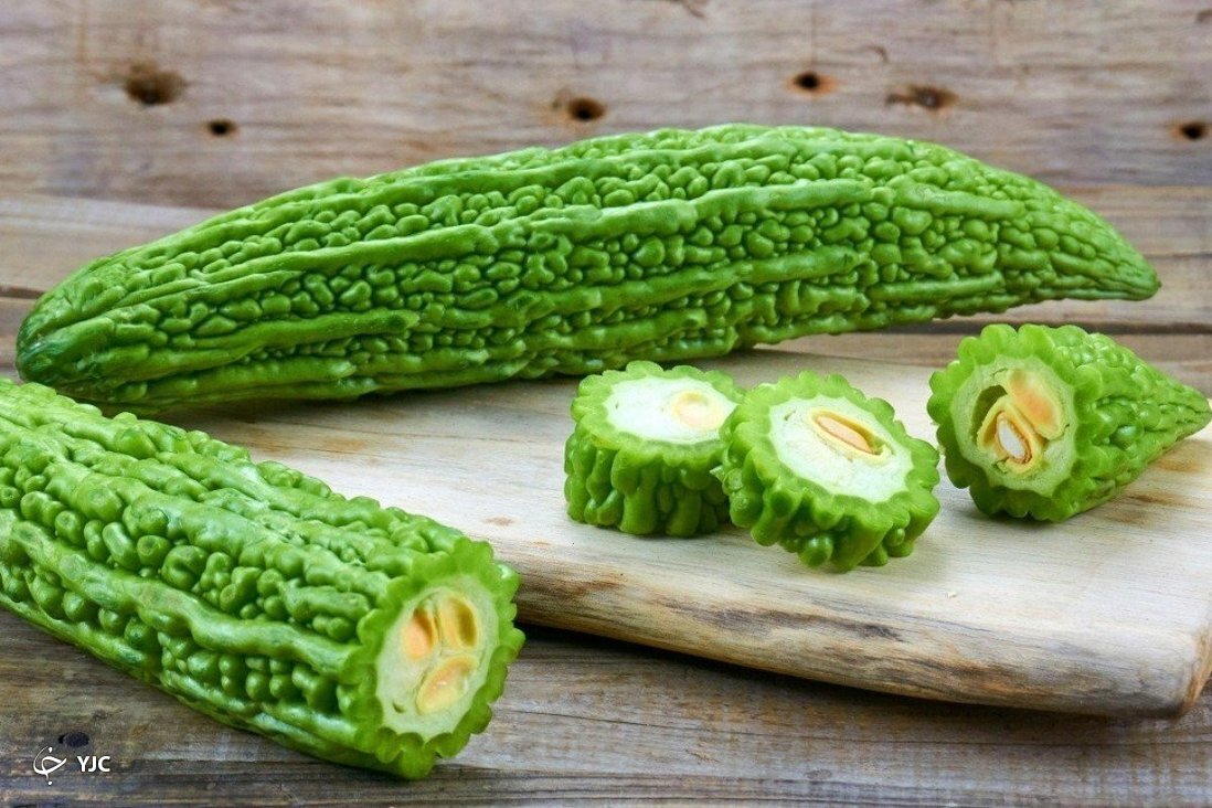 خیار چنبر تلخ