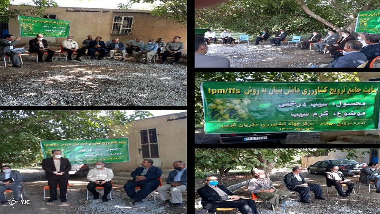 باغداران مهابادی با جدیدترین راهکار‌های مبارزه با آفات باغی آشنا شدند