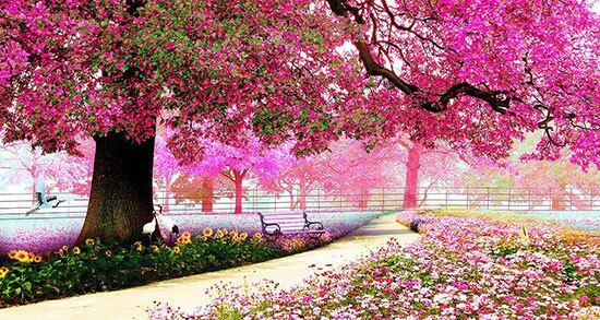 به ما بگویید به کدام فصل علاقه دارید تا شخصیت تان را بگوییم