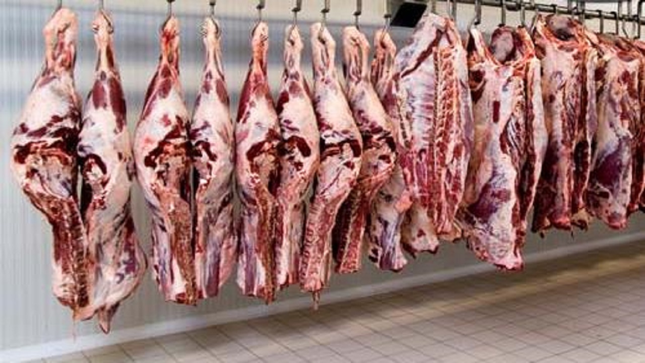 برخورد جدی با کشتار غیرمجاز دام در معابر ایلام