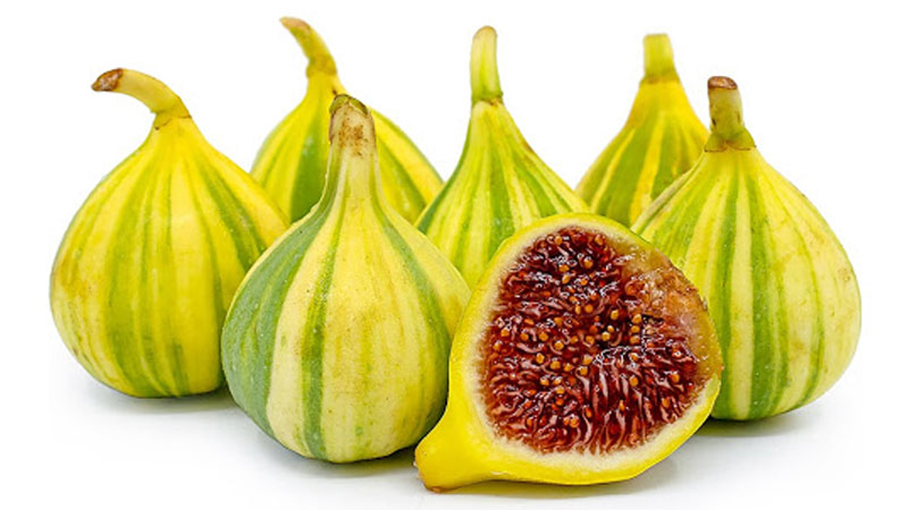 انجیر، میوه‌ای محبوب در ایتالیا + فیلم