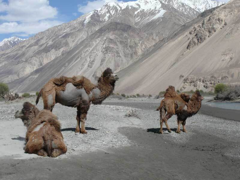 ۱۰ مکان زیبای تاجیکستان که نباید دیدن آن را از دست بدهید + تصاویر
