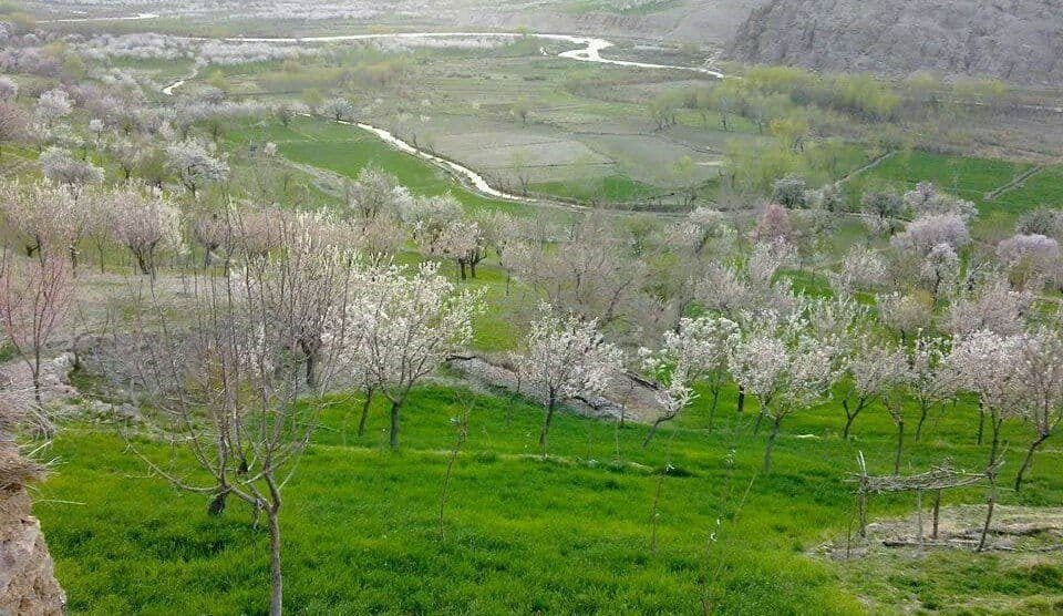 تصاویر: طبیعت زیبای ولایت ارزگان افغانستان