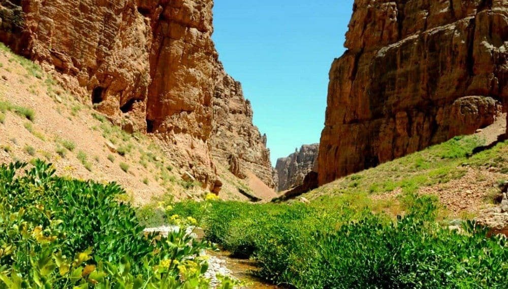 تصاویر: طبیعت زیبای ولایت ارزگان افغانستان