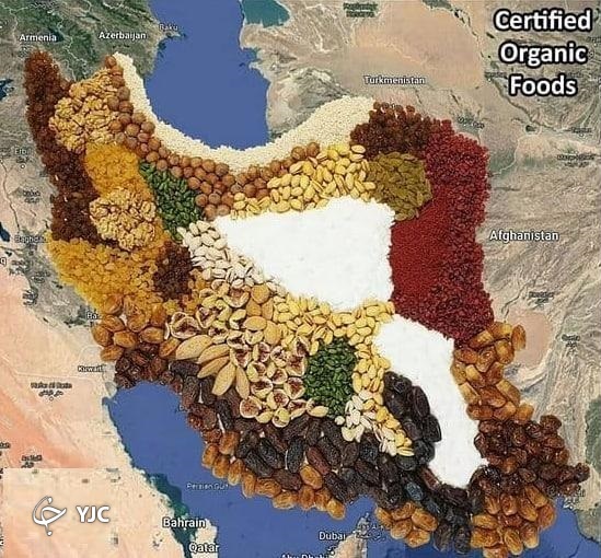 باغی