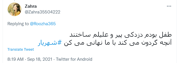 محمد حسین بهجت