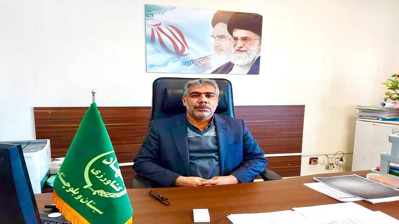 اقدامی جهادی برای افزایش ضریب خوداتکایی سیستان و بلوچستان به گوشت مرغ