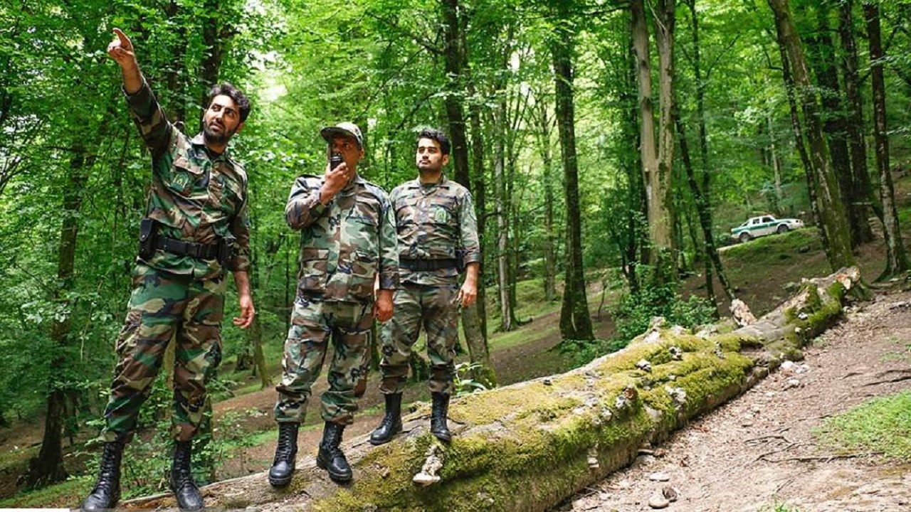 پوشش ۱۰۰ درصدی شبکه بی‌سیم در جنگل‌های غرب مازندران