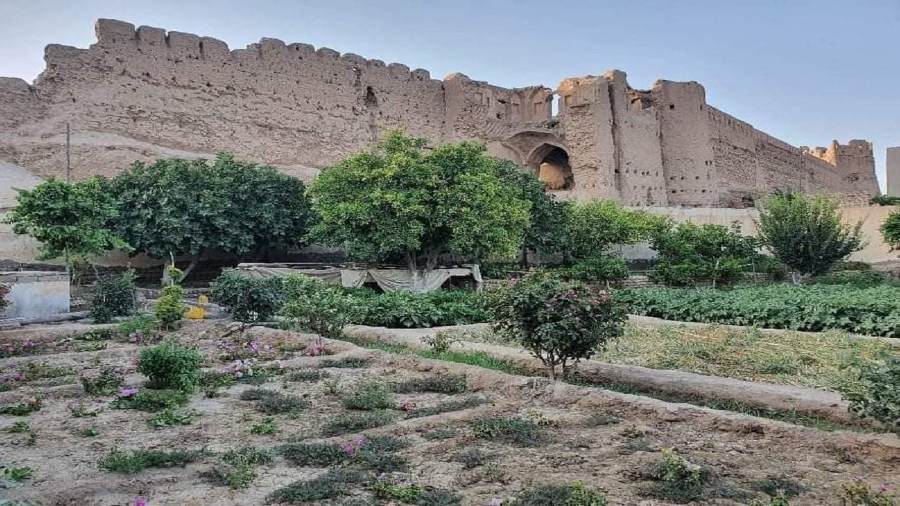 پربازدید