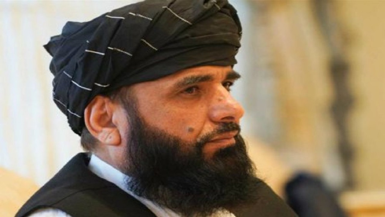 پربازدید