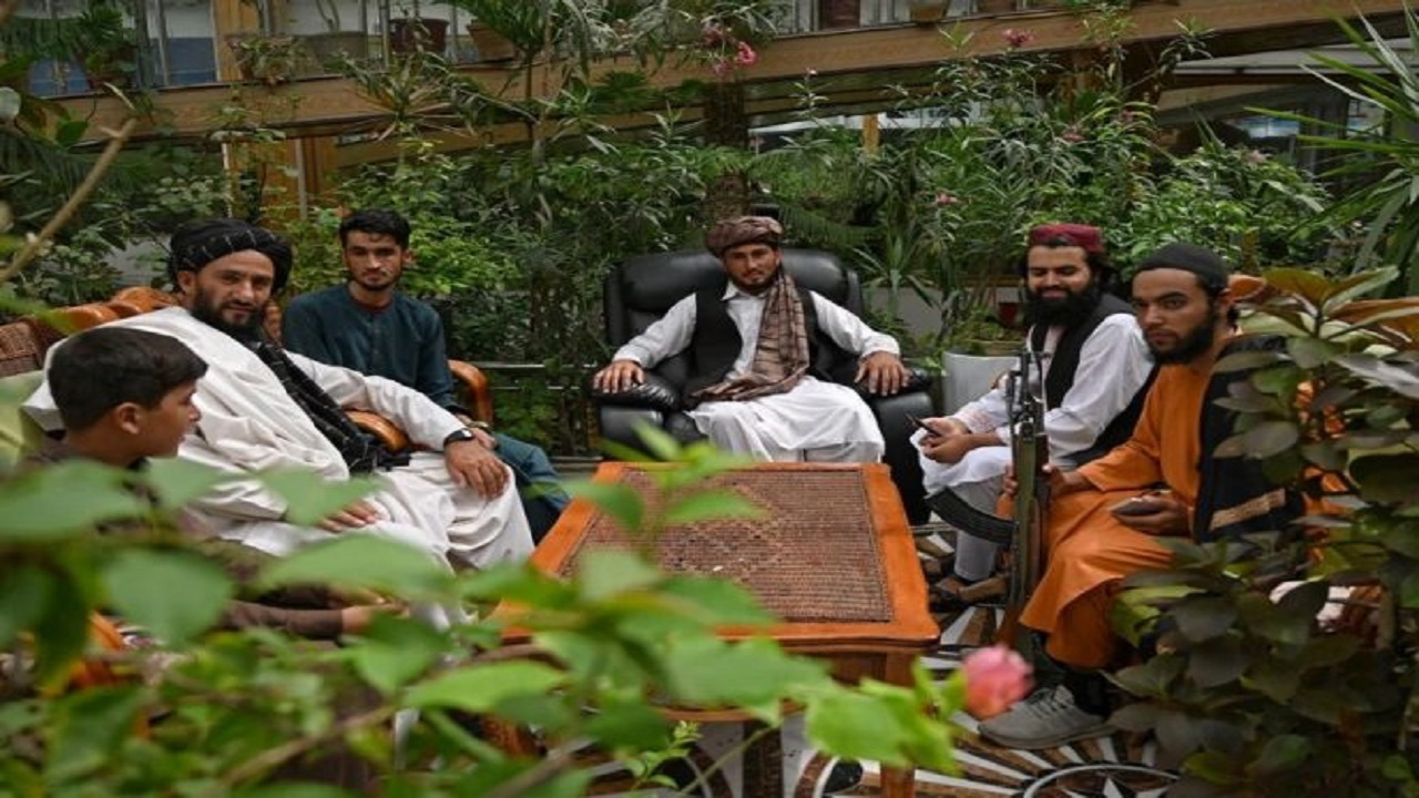 پربازدید
