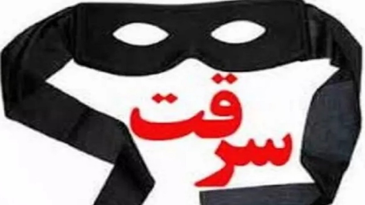 فریب سارقان تحت پوشش مأموران بهداشت را نخورید