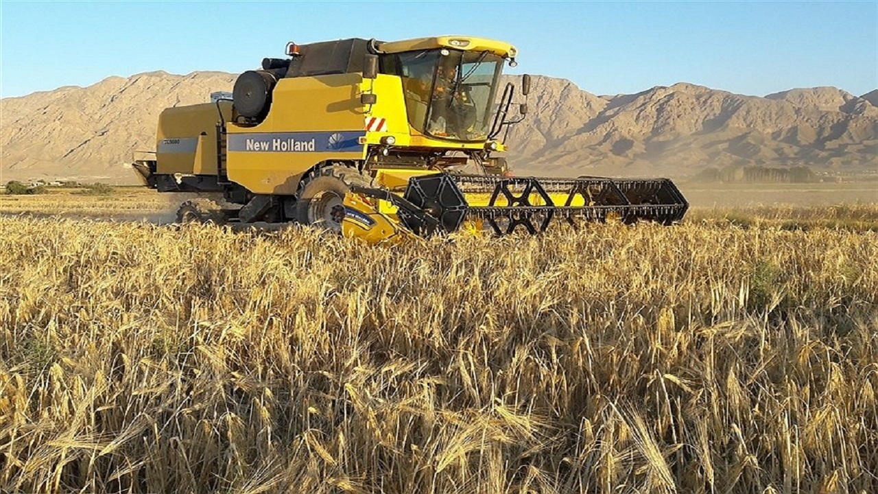 آغاز بیمه غلات در خراسان جنوبی از اول پاییز