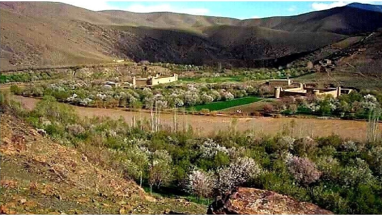 هرگونه تلاشی خانه های مردم ممنوع است/ به تلاشی گران رحم نکنید