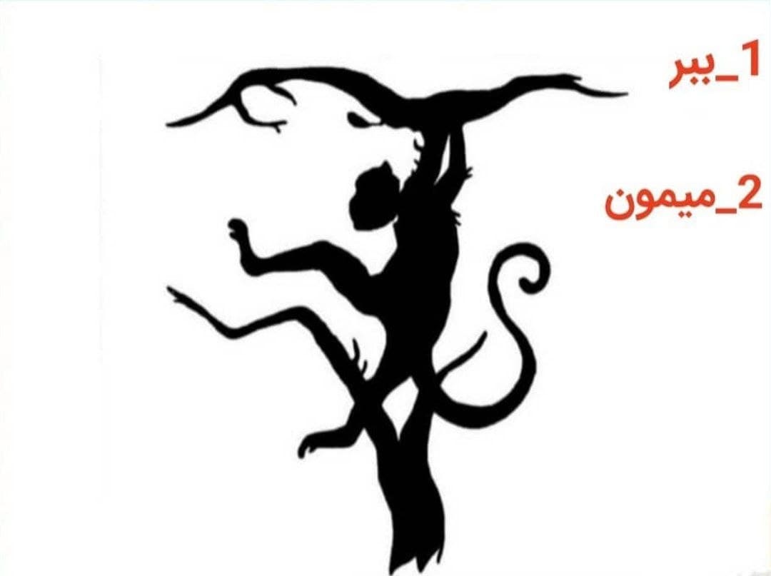  شخصیت شناسی