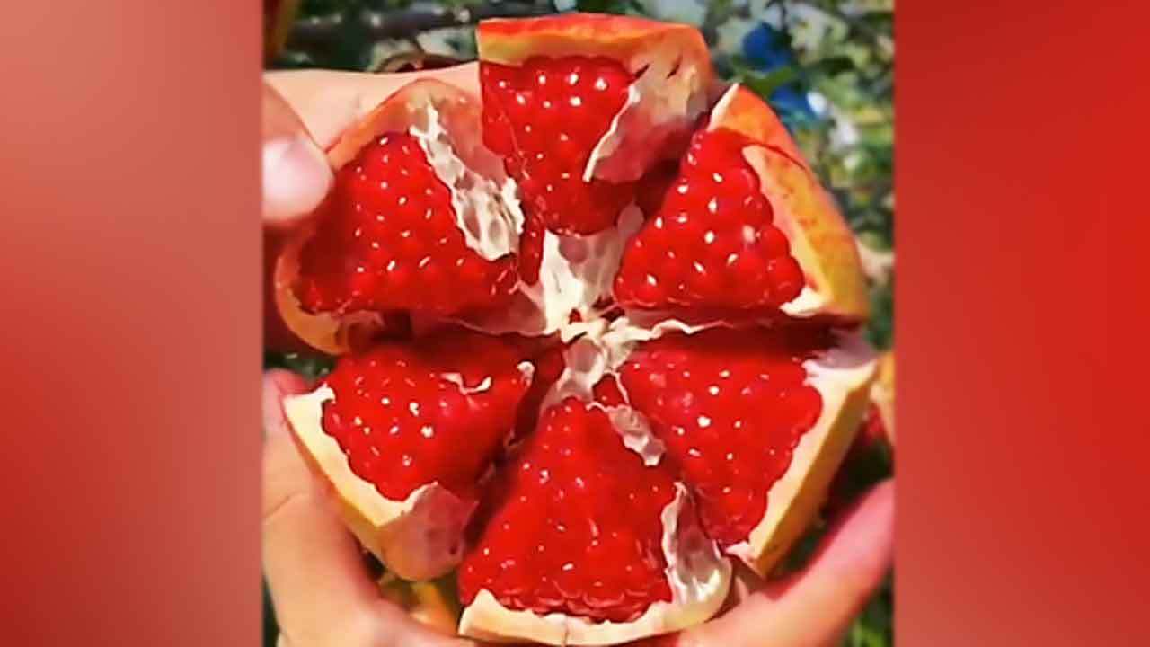 برش حرفه‌ای و جذاب انار + فیلم