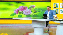 جایزه سیاسی نوبل پاداش چه کاری است؟ + فیلم