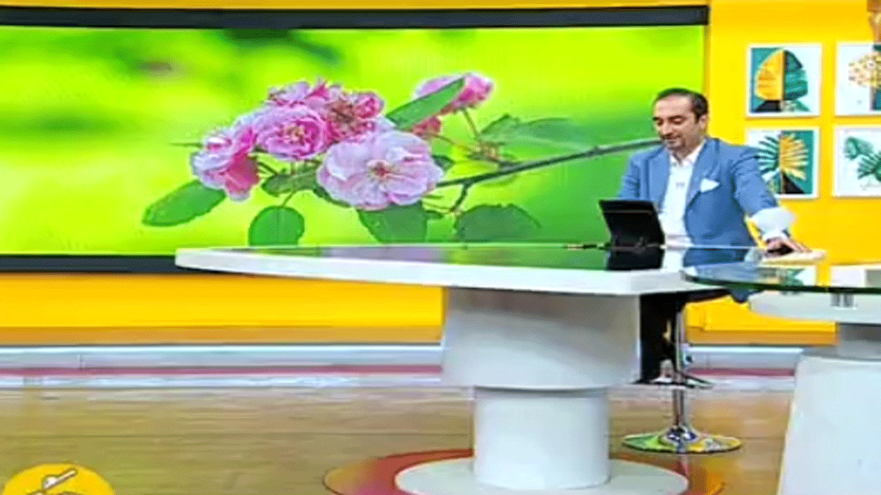 ۱۰ جایزه عجیب برای ۱۰ تحقیق عجیب! + فیلم