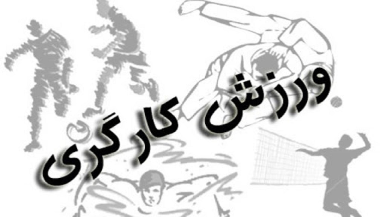 فعالیت ۱۱ هزار کارگر ورزشکار اردبیلی در رشته‌های مختلف ورزشی