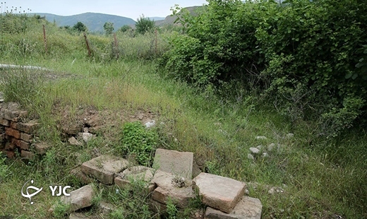 مار سرخ گرگان، جهانی می&zwnj;شود؟