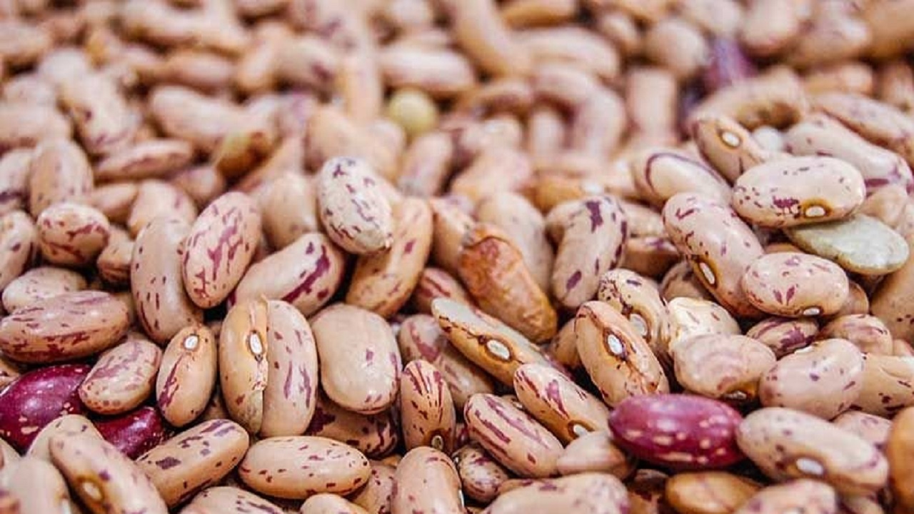 انواع بسته‌های لوبیا چیتی را در بازار چند بخریم؟