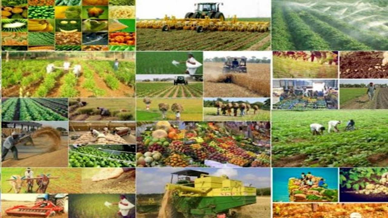 جذب ۲۰۰ میلیارد ریال برای امهال تسهیلات بخش کشاورزی شیروان