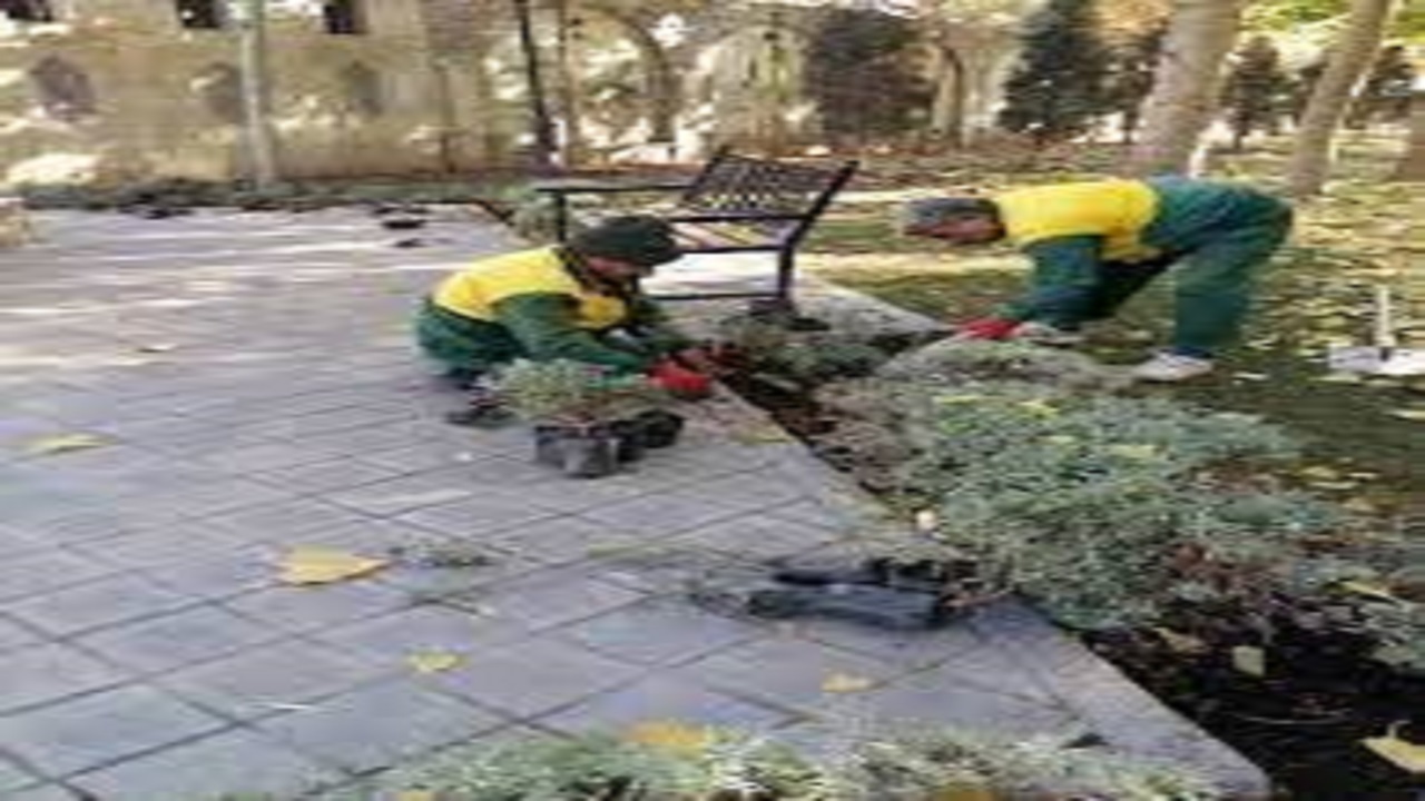 پاییز کرج رنگ و بوی بهار گرفت